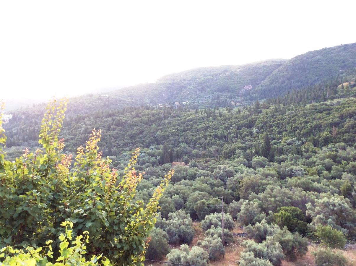 Althea Studios Lefkada Áyios Nikítas Екстериор снимка